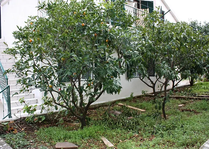 By The Sea Slatine, Ciovo - 1126 Apartament *